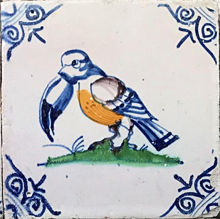 Tegel met een kleurrijke toekan